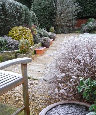 a winter garden