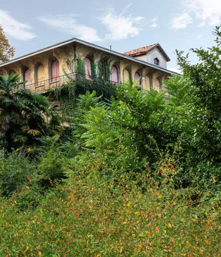 Alcova Milano 2022 - A garden with bushes in front of a house.