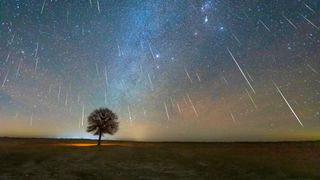 Vast quantities of meteor streaks appear to "rain down" from the star-studded sky. A silhouette of a lone tree sits in the foreground of the image.