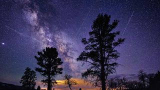 Black silhouette of trees against a blue/purple sky with meteors streaking across the sky.