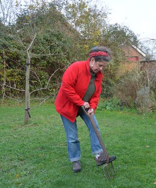 aerating a lawn