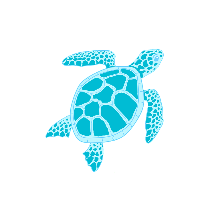 Sea Turtle Animal - Free image on Pixabay