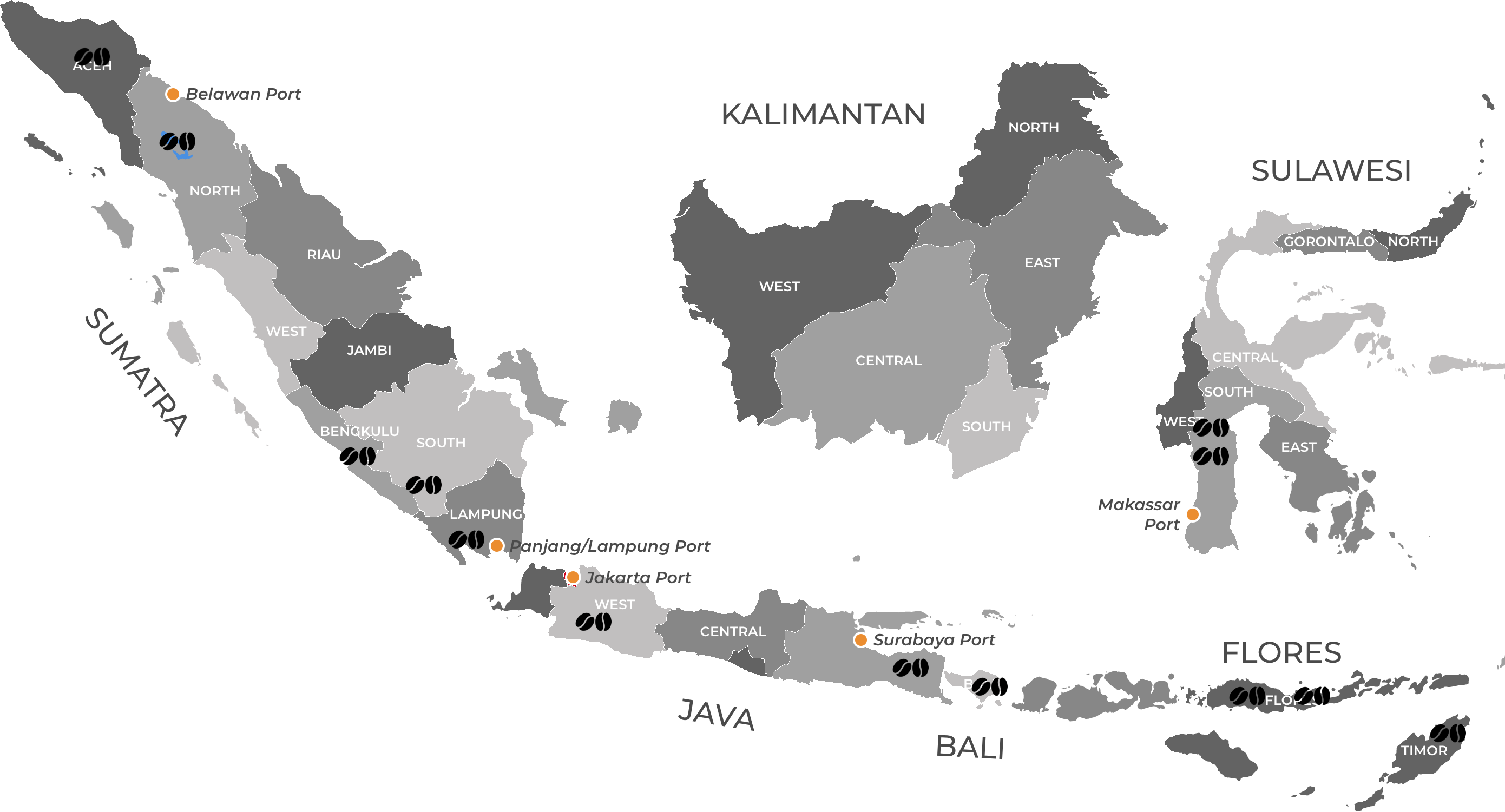 Matahari Indonesian coffee sourcing map