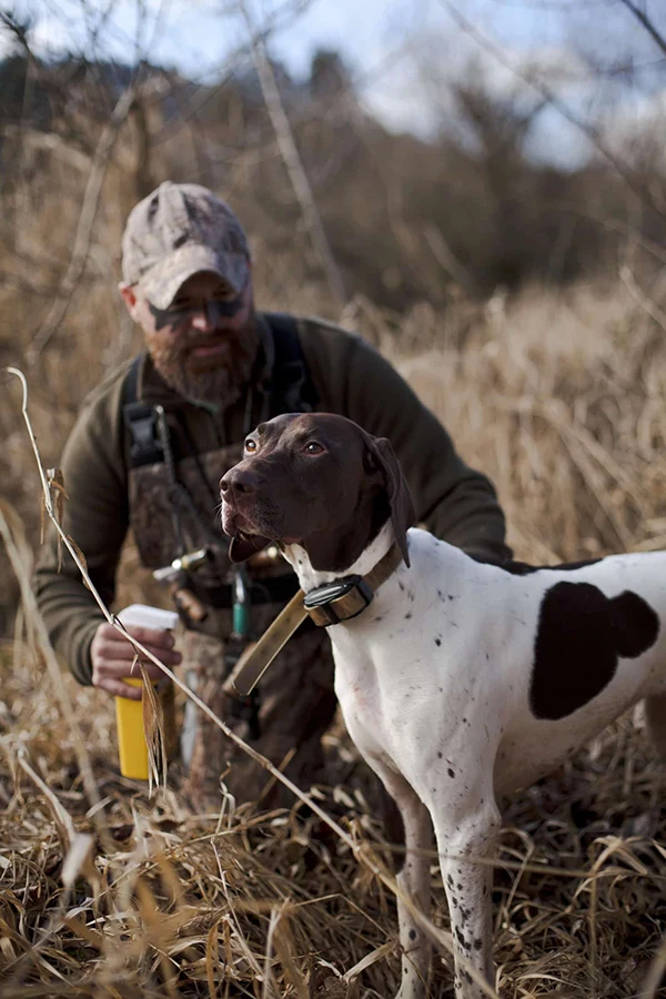 A hunter spraying a dog with Sawyer Permethrin for dogs insect repellent treatment in grass outdoors