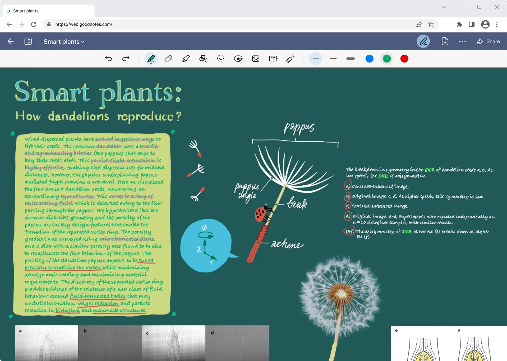 The UI of Goodnotes for Web with the note of dandelions