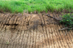 Soil Erosion by Water