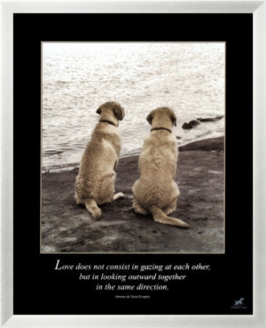 Dog Poems