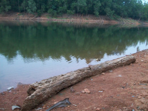 Soil erosion in river bank | Beautiful south Indian rivers | free ...