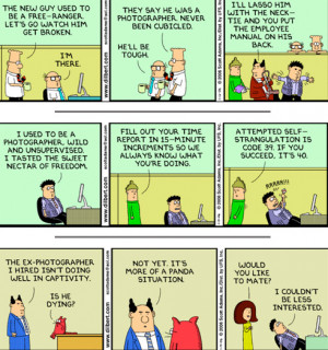 dilbert quotes