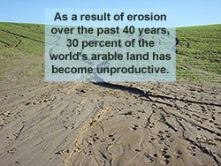 Soil Erosion