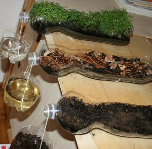 Science experiment on soil erosion – Great for project why, also for ...