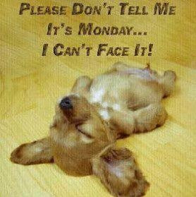 monday..... ugh