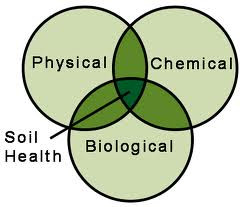 Soil Health Picture