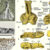 Palaeospondylus australis, braincase and histological section. Image credit: Burrow et al., doi: 10.1093/nsr/nwae444.