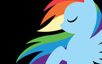 Rainbow Dash [2] wallpaper 2560x1600 jpg