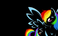 Rainbow Dash wallpaper 1920x1200 jpg