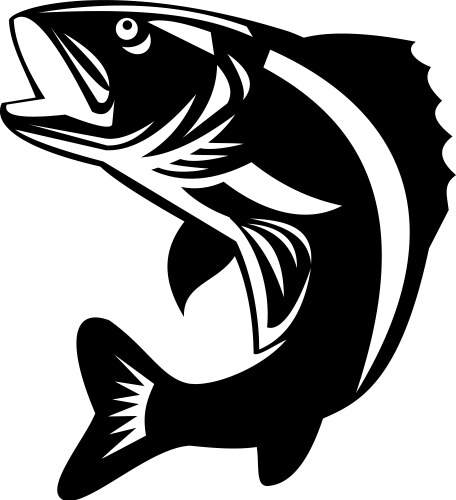 Walleye Vector Images (over 530)