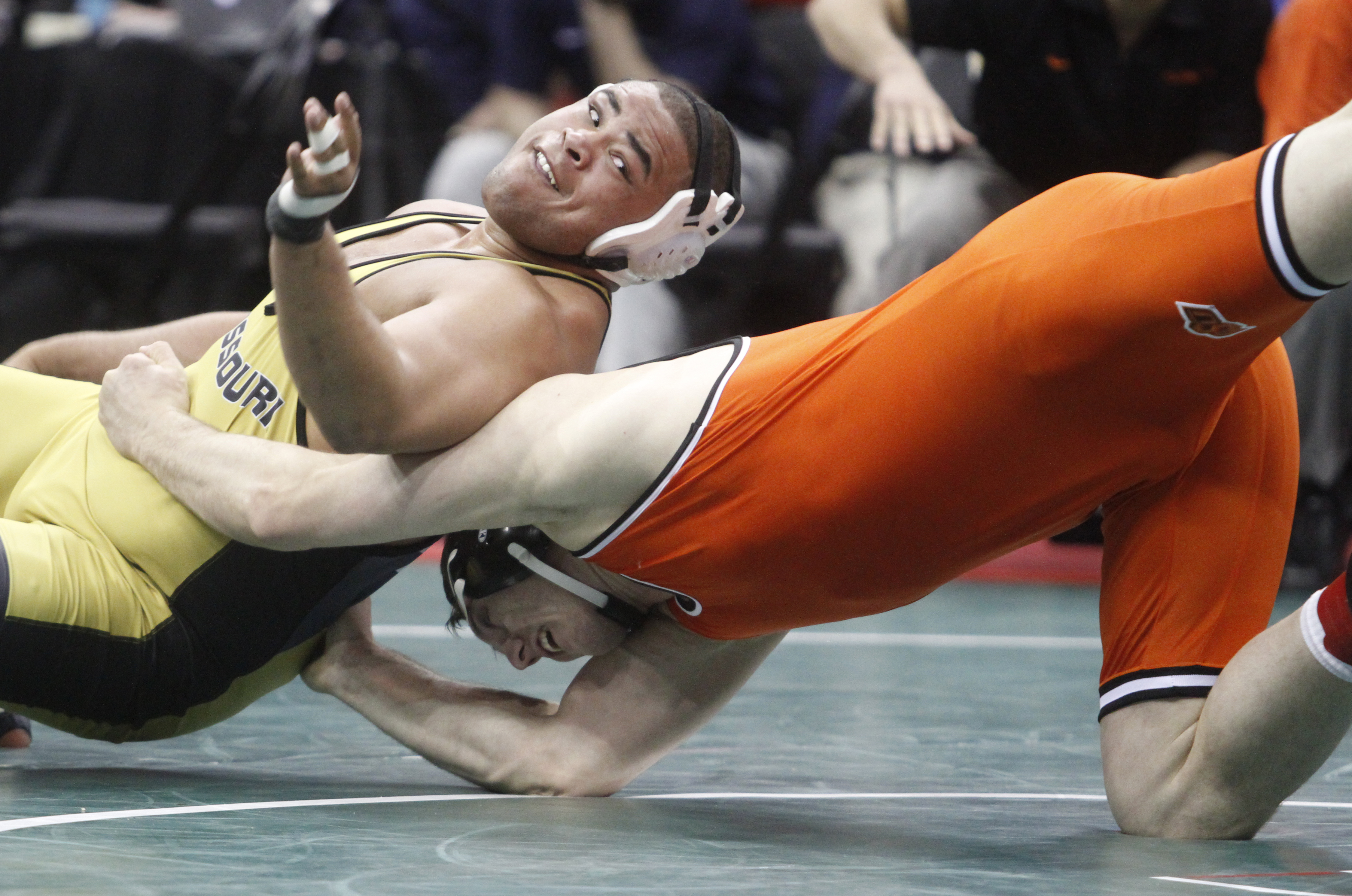 2013 NCAA Division 1 Westling Championships