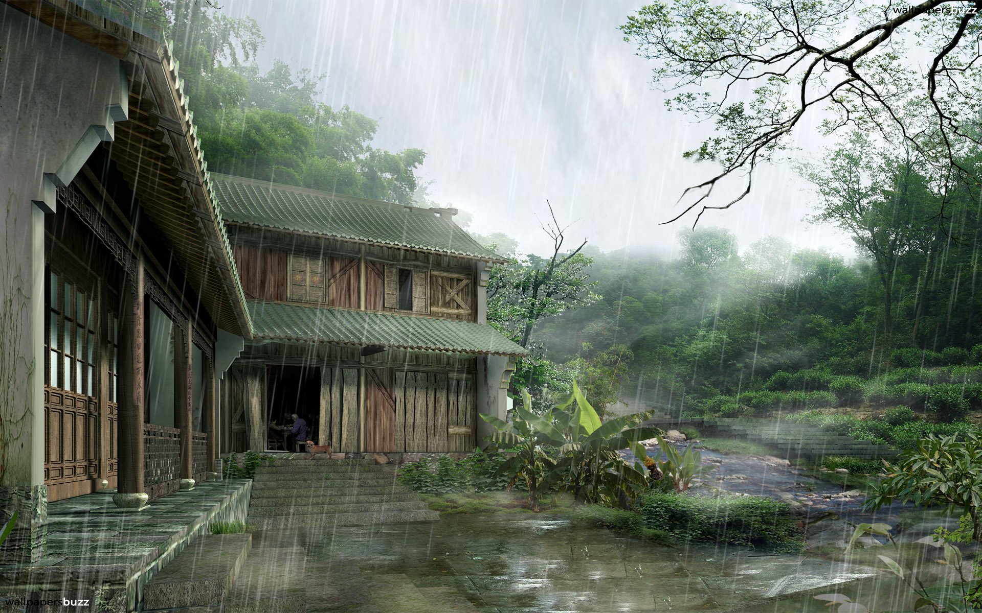 Hình nền ngày mưa (Rainy day wallpapers): Những hình nền ngày mưa sẽ làm cho bộ sưu tập hình nền của bạn thêm phần đổi quang cảnh. Các hình nền này sẽ mang đến cho bạn cảm giác êm đềm, tĩnh lặng, như được ngắm nhìn thiên nhiên trong một ngày mưa. 