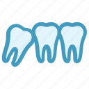 dental, dentist, stomatology, teeth, tooth