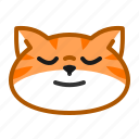 cute, cat, orange, emoticon, calm