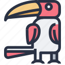 animal, colored, hornbill, sharp edge