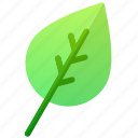 biology, education, green, leaf, tree