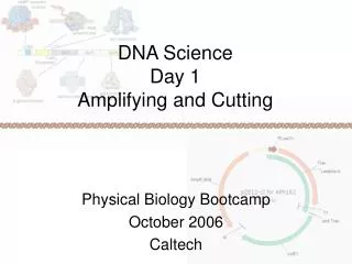 DNA Science Day 1 Amplifying and Cutting