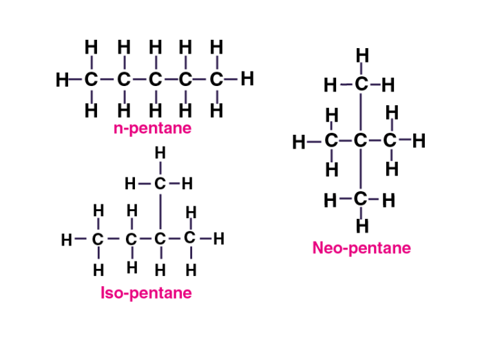 Draw The Structure Of Isomers Ofa Butaneb Pentane Wri - vrogue.co