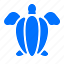 animal, ocean, sea, turtle