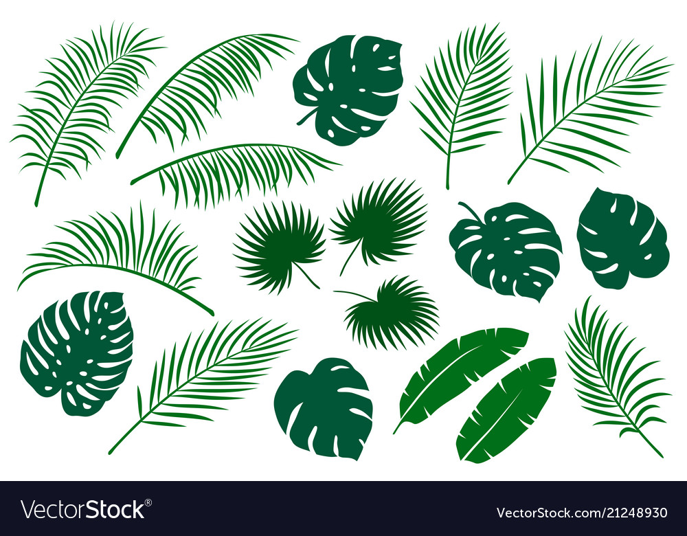 how to use vowel Lukewarm palm leaf vector Viscous husband Menagerry