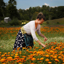 US Grown Herbs