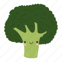 broccoli, food, ingredients, plant, vegetable