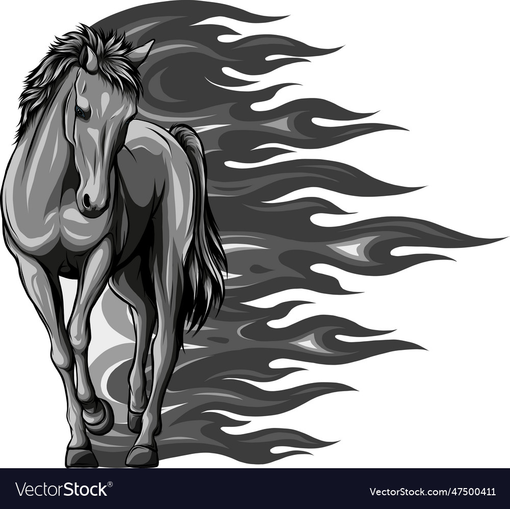 Monochromatic horse with flames on white Vector Image