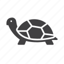 animal, slow, tortoise, turtle