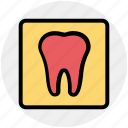 dental, dentist, stomatology, teeth, tooth