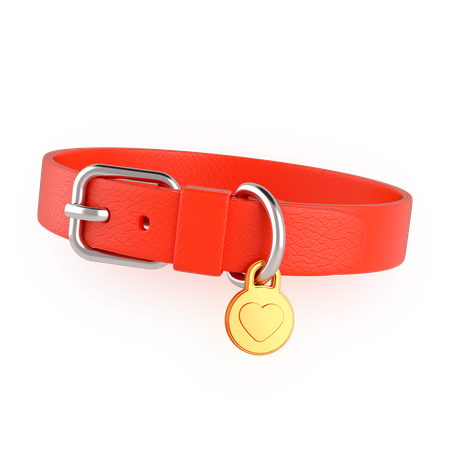 Pet Belt  3D Icon