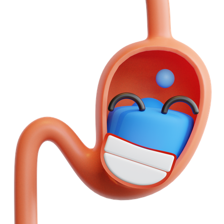 Stomach  3D Illustration