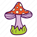 amanita, fungus, mushroom, poison, venom