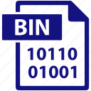 bin, file, format, document, extension