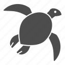 turtle, animal, sea, tortoise, pet