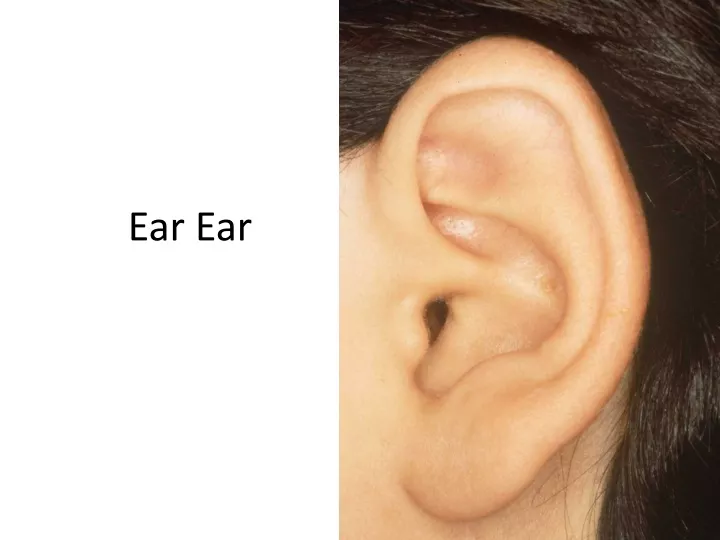 ear ear