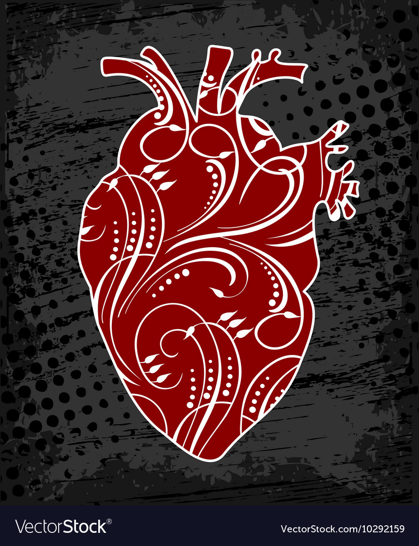 Free Vector Human Heart Anatomy Medical Anatomical Ca - vrogue.co