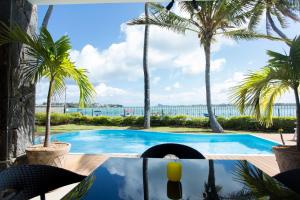 a pool with palm trees and a view of the ocean at Garden Villas in Grand-Baie