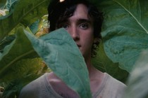 Review: Happy as Lazzaro