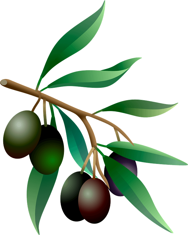 Free Olive Tree Clipart, Download Free Olive Tree Clipart png - Clip ...