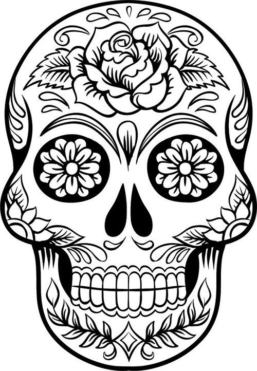 Half Skeleton Face Drawing