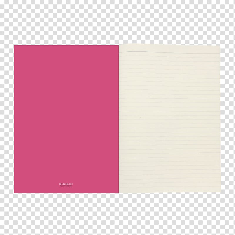 Paper Pink Punched pocket 100.