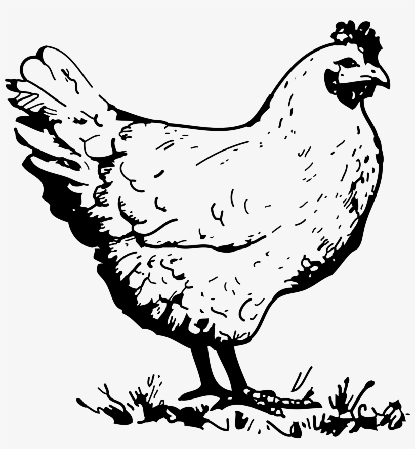 Chicken Clipart Black And White.