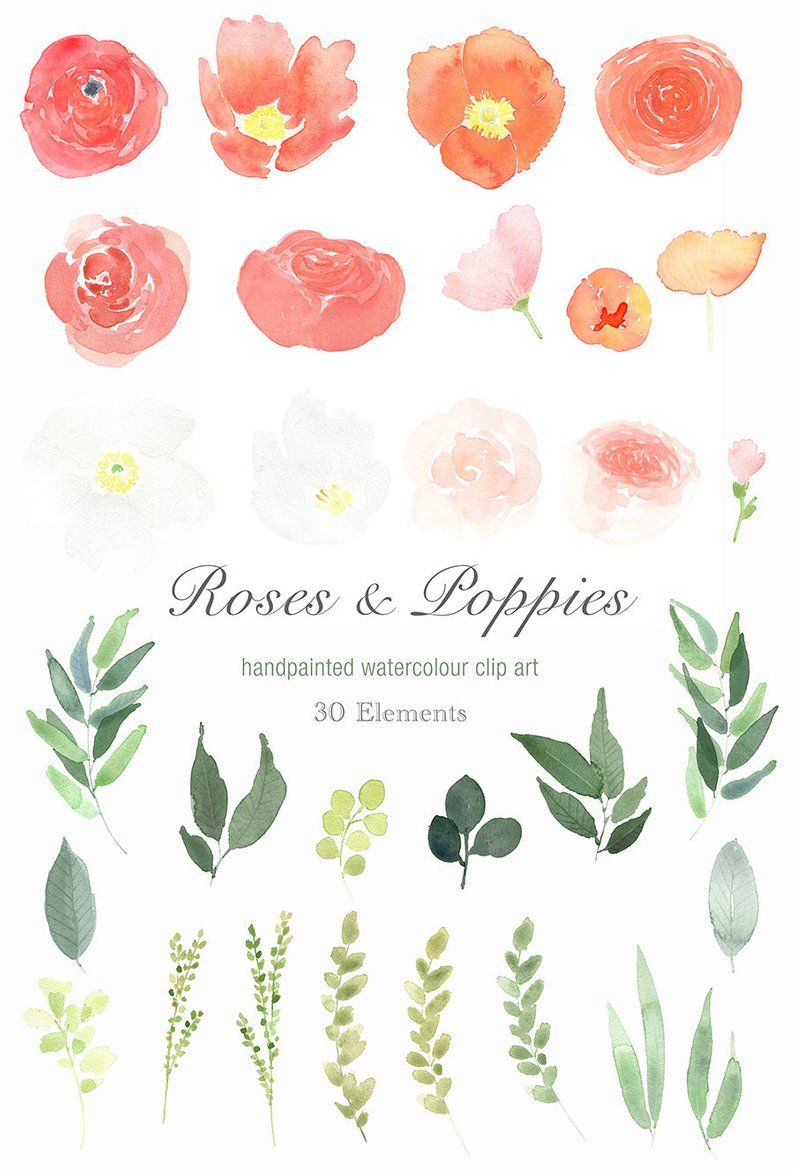 Watercolour Floral Clipart.